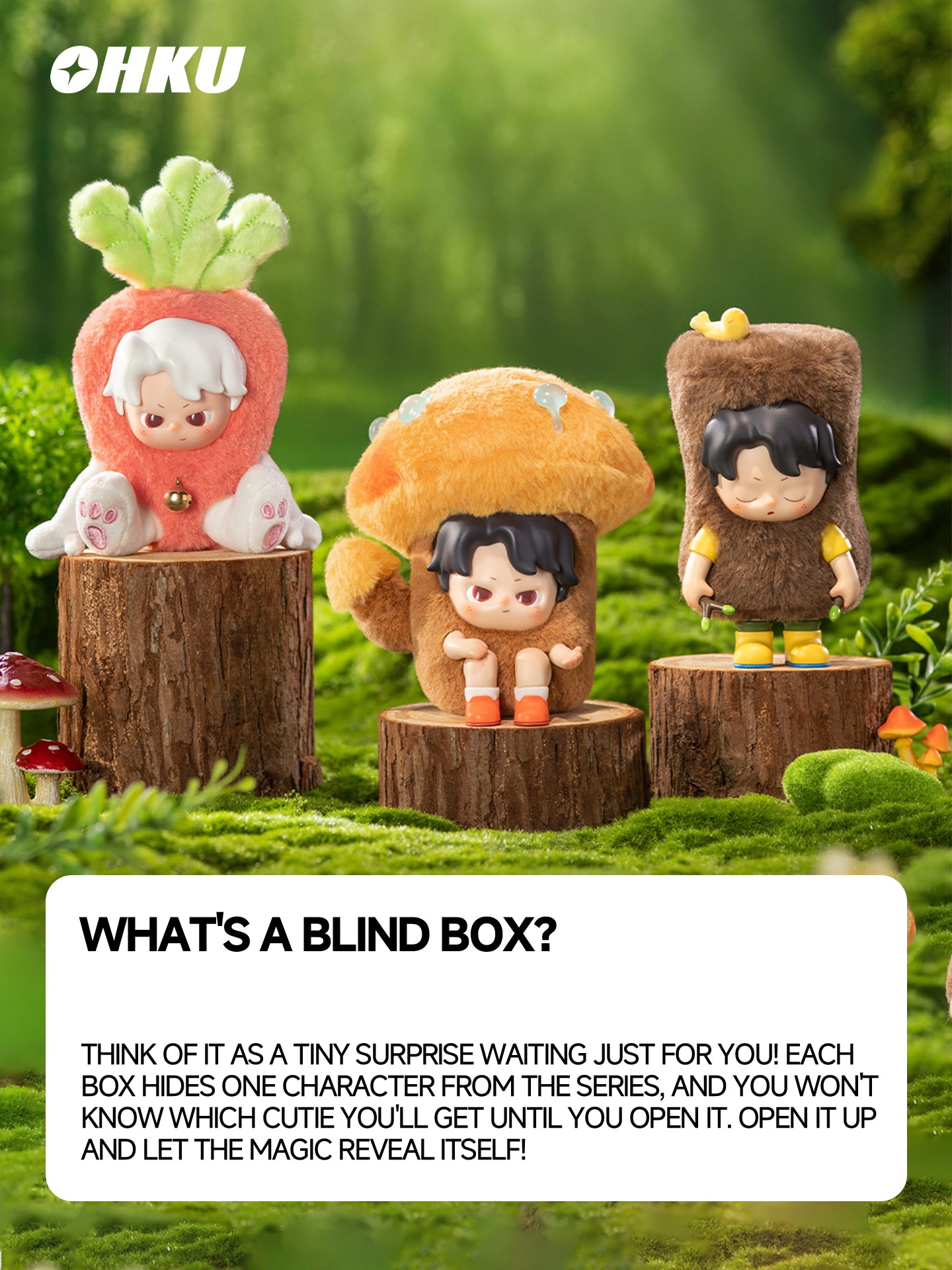 OHKU DREAM BOY Hidden in His Own Corner Series